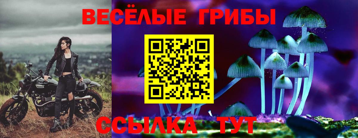 Комсомольск-на-Амуре  Галлюциногенные грибы Cubensis  Вход с VPN 